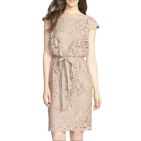 Tadashi Shoji Greta Lace Cocktail Dress in Sand Beige Size 8 - Picture 2 of 9